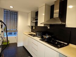 The Sunny Spring (D14), Apartment #559455501